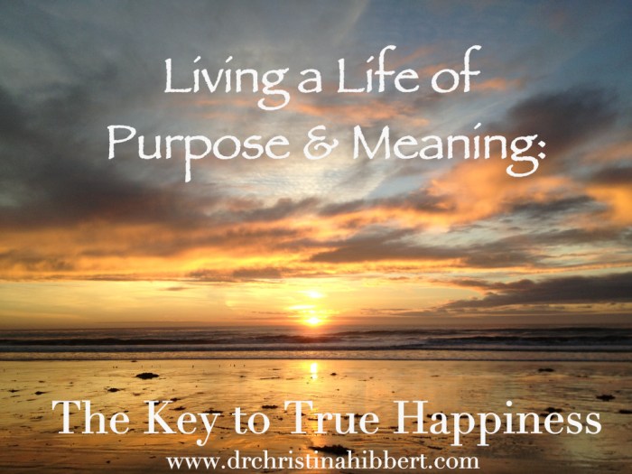 Meaning life purpose happiness living true key quotes others way drchristinahibbert get devote yourself gives something christina quotesgram loving community