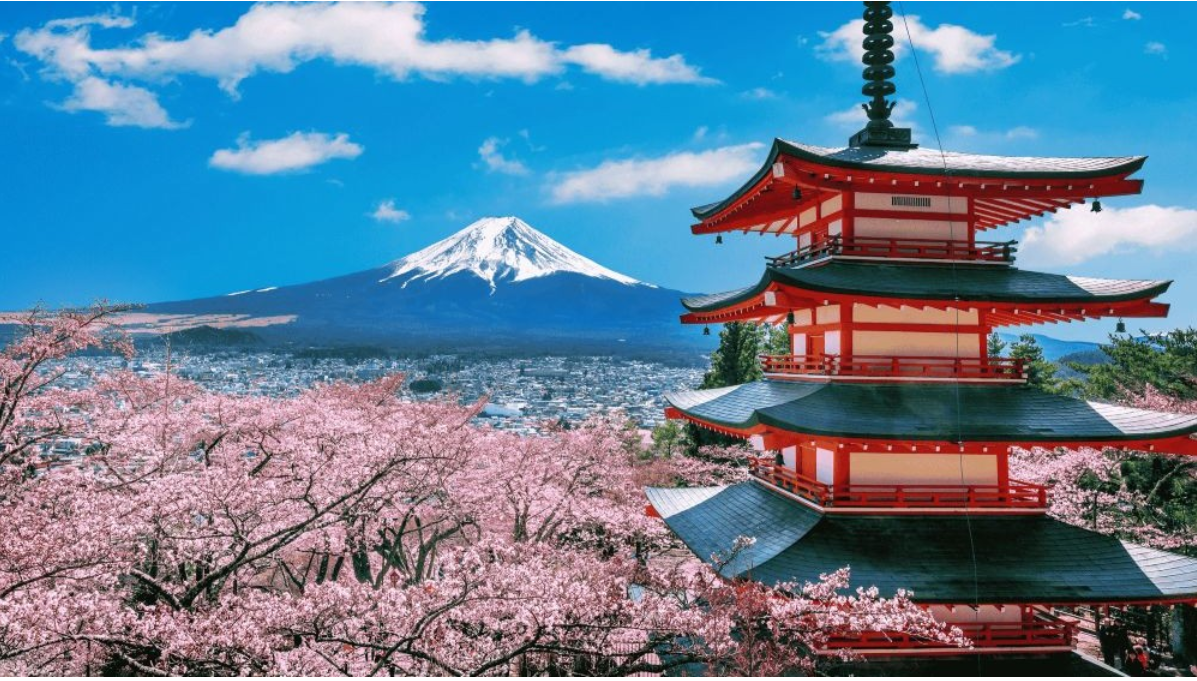 Tips Menikmati Kuliner di Jepang untuk Solo Traveler